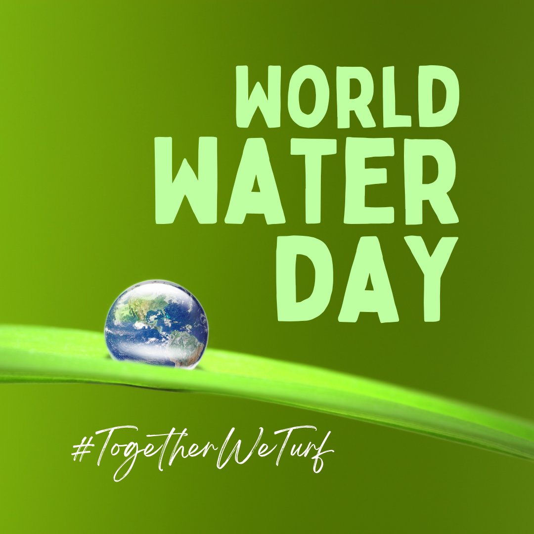 BYTurf's tweet photo. Today is world water day! Did you know that drought tolerant turf saves 30% of outdoor water and helps mitigate the effects of climate change?

#TogetherWeTurf #TWCA https://t.co/h7Si8AMXjE