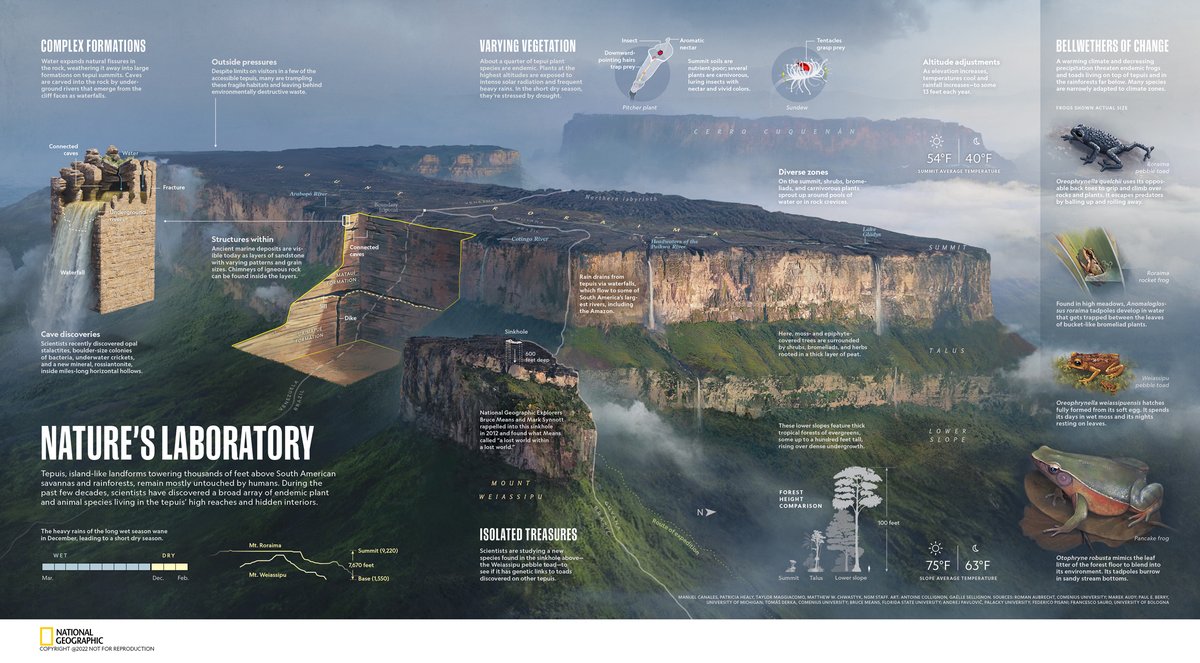 canalesgraphics's tweet image. Our latest print #graphic: #Tepuis, island-like landforms towering thousands of feet above South American savannas and rainforests #natgeo #april2022 By @canalesgraphics @antoine_vfx @GaelleSeguillon @taymaggiacomo Patty Healy