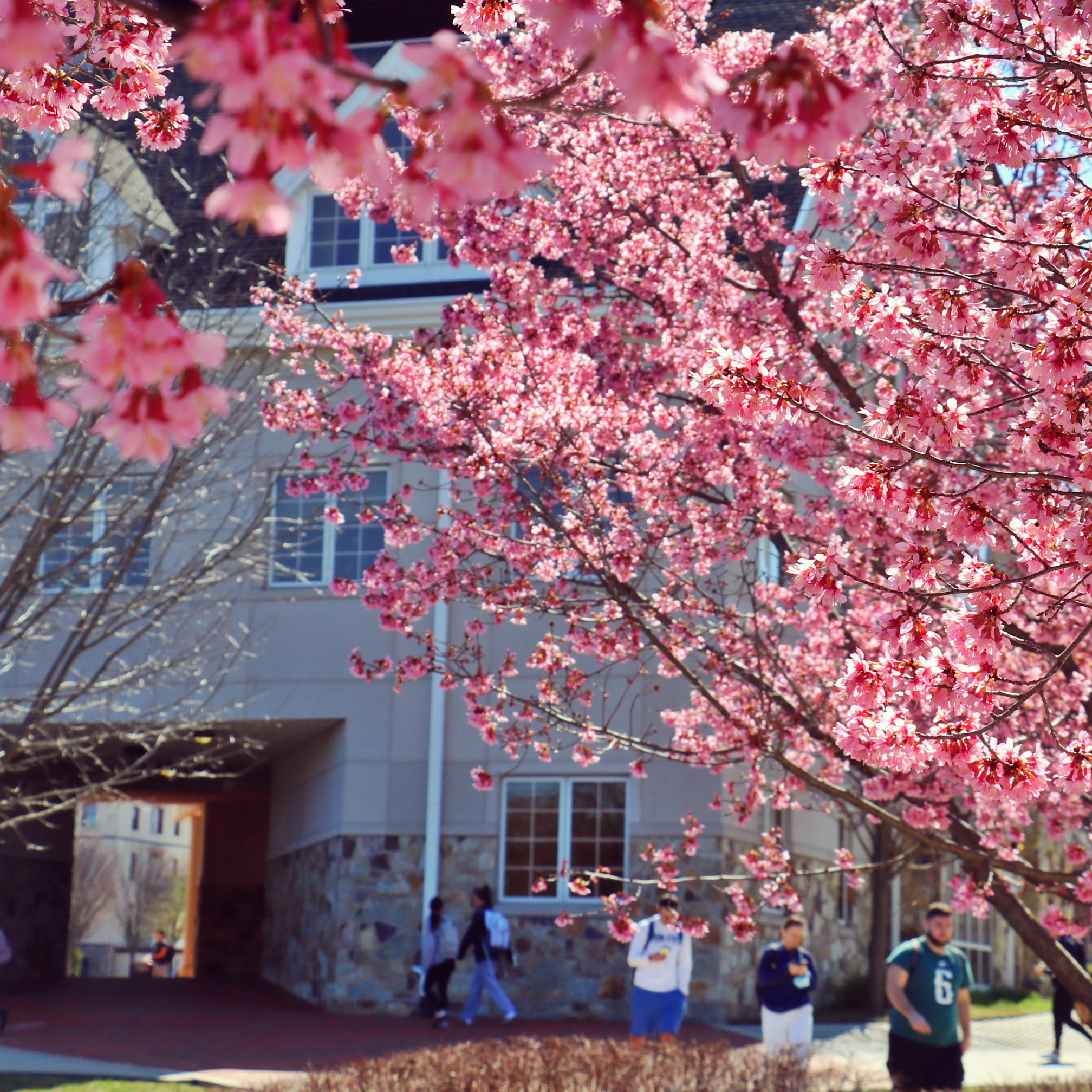 Uark Spring 2023 Calendar Widener Career Design And Development (@Widenercareers) / Twitter