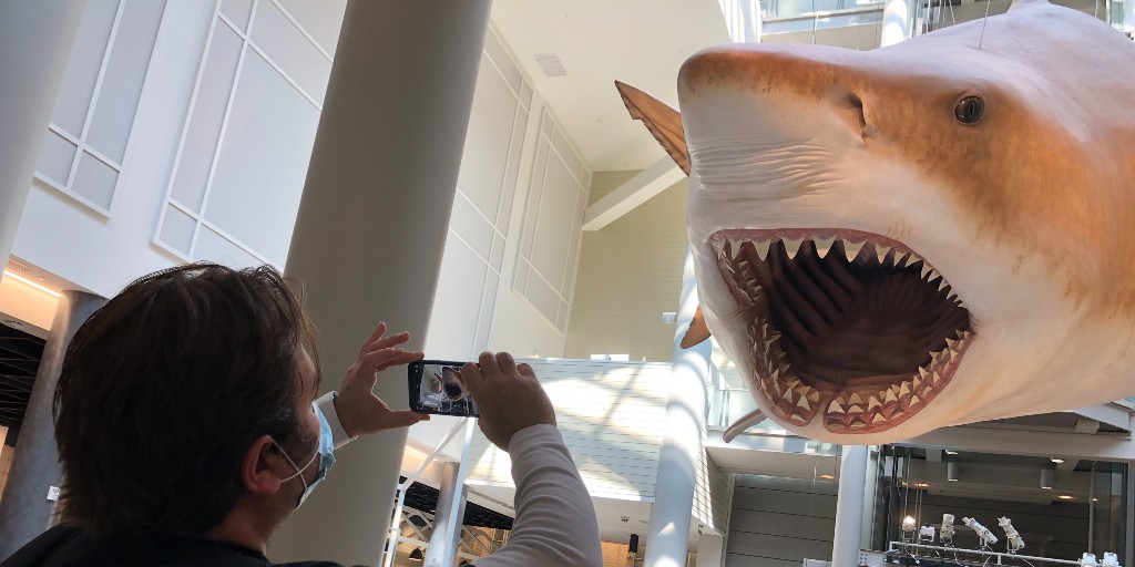 GeorgetownELC's tweet photo. One of the great parts of Prof. Overman's Intensive Professional English class is getting to go on field trips! IPE takes advantage of DC's museums, and they had a great time learning about science and art at the Natural History Museum and the National Gallery! #GeorgetownELC https://t.co/sOgby2VLh2