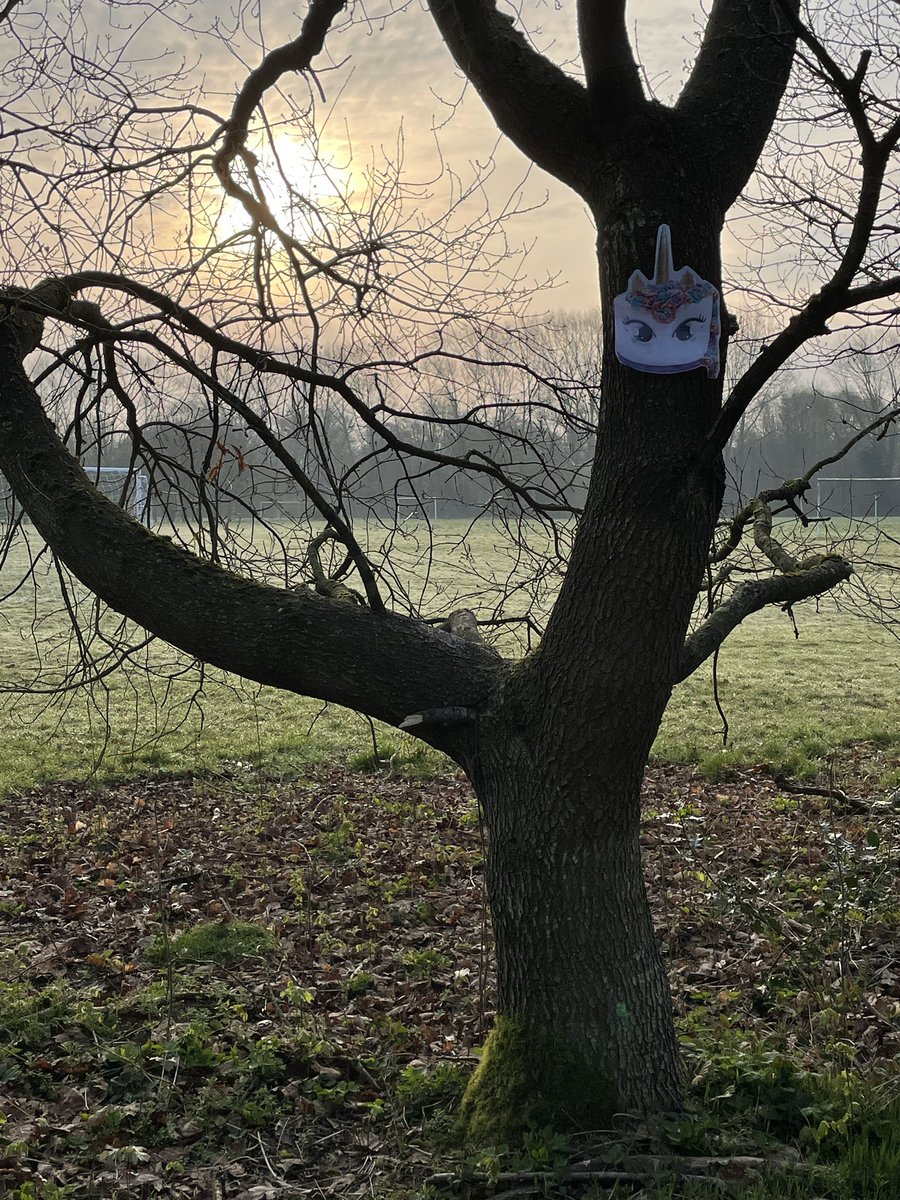 MrsFWong1's tweet photo. If you go down to the woods today, you’re sure of a big surprise… CARNIVOROUS CAKES! The chn are loving our #CakesInSpace topic! Cant wait to escape cakes with them. And a special treat at the end. @philipreeve1 https://t.co/MGUjrEKZeU