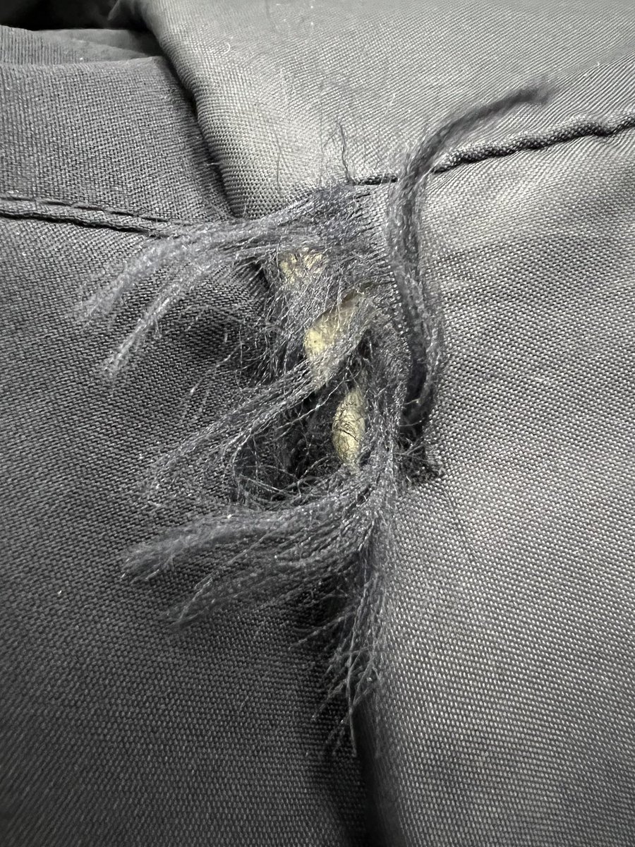 dankogai's tweet photo. 長女が生まれる前に妻が買ってくれたのだが、もう袖もこんなで妻にも買い替えを勧告されている https://t.co/4a1qSCdAL1