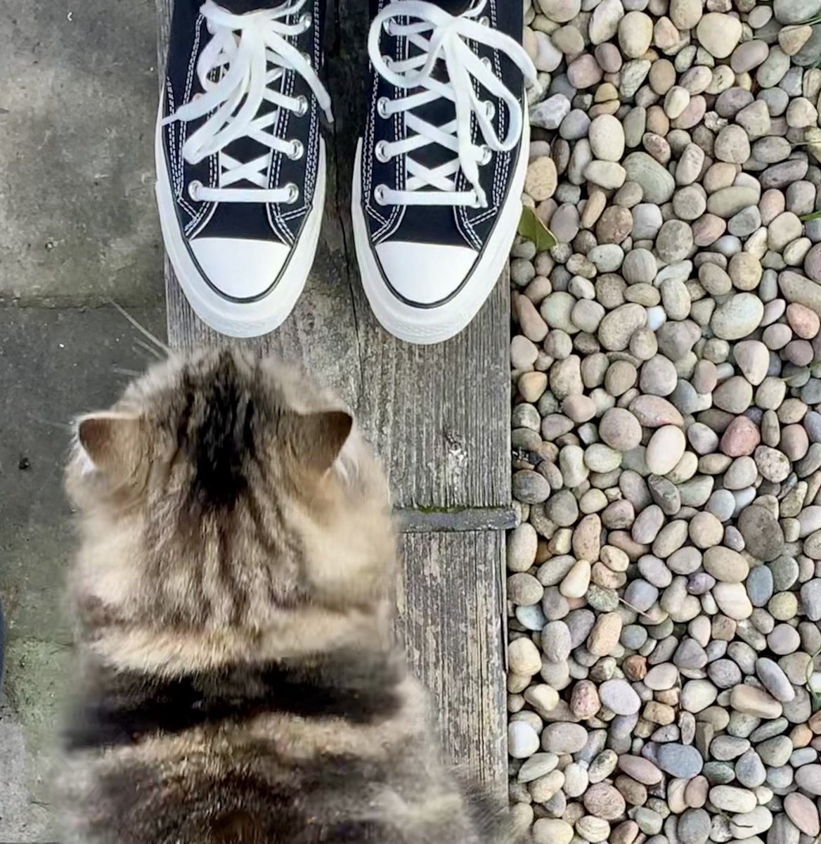 𝕃𝕚𝕤𝕒 tweet media