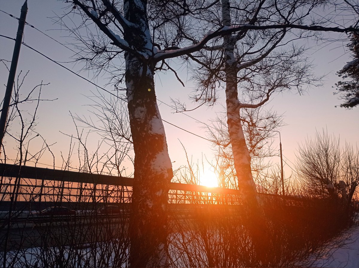 Varya_220's tweet photo. Gm, guys☀️🌇Have a good day 🤭🕊️ https://t.co/IRlCtdS3qz