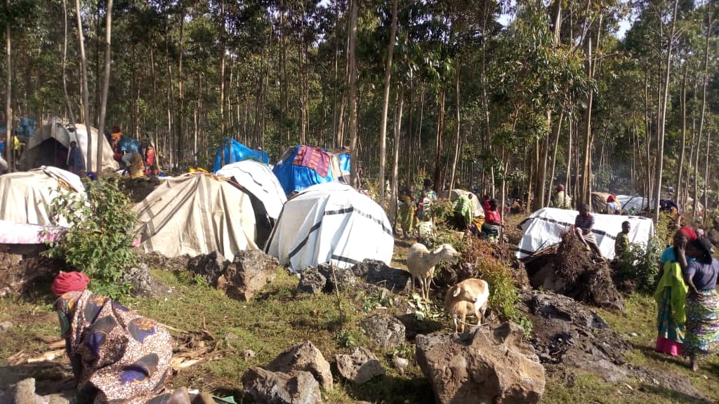 UgandaRedCross's tweet photo. #DRCongo Refugees at Bunagana, camping at Bunagana Primary School ahead of relocation excercise. #Populationmovement
@IFRCAfrica @ifrc https://t.co/oYUP0dphiF