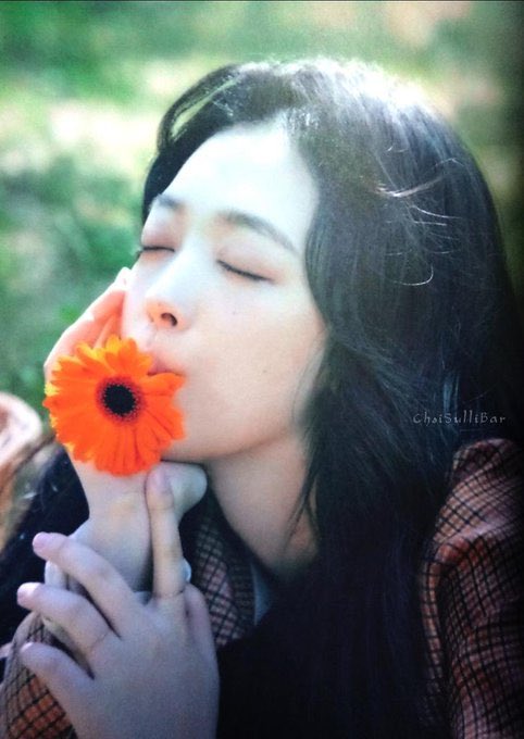 dominorens's tweet photo. happy birthday my love 💗💗
#HappySulliDay #SulliDay #SulliMyLovelyPeach https://t.co/DDKiYFkUDY