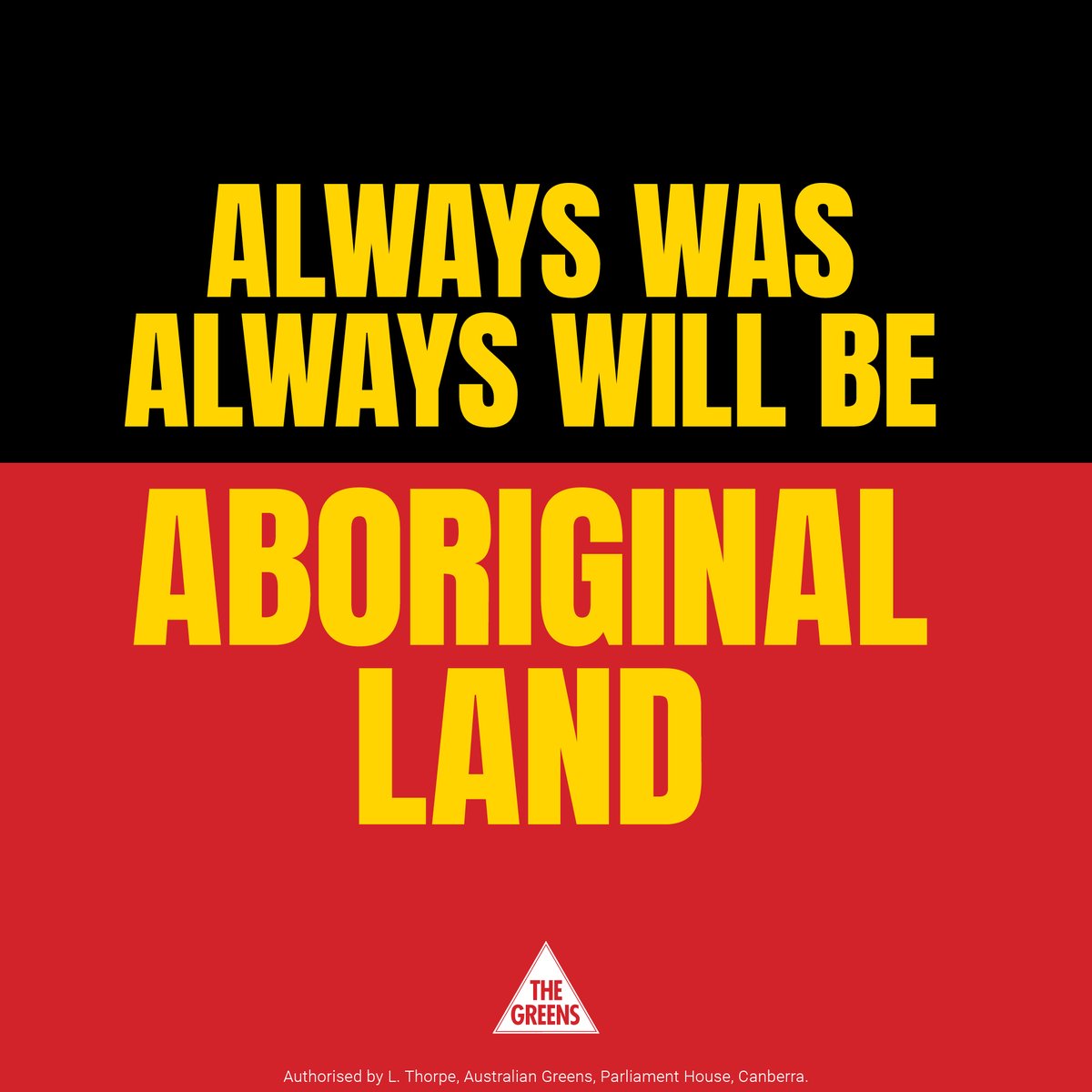 SenatorThorpe's tweet photo. WE DID IT! Everyone (except One Nation) voted for our motion to establish an inquiry into application of the UN Declaration on the Rights of Indigenous People in Australia. Also introduced a Bill to make sure we comply with the UNDRIP. Historic day for First Nations human rights. https://t.co/GwUM0yW5dU