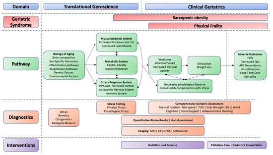 Multimodal Diagnostic Approaches to Advance Precision Medicine in Sarcopenia and Frailty mdpi.com/1560320 #mdpinutrients via <a href="/Nutrients_MDPI/">Nutrients MDPI</a>