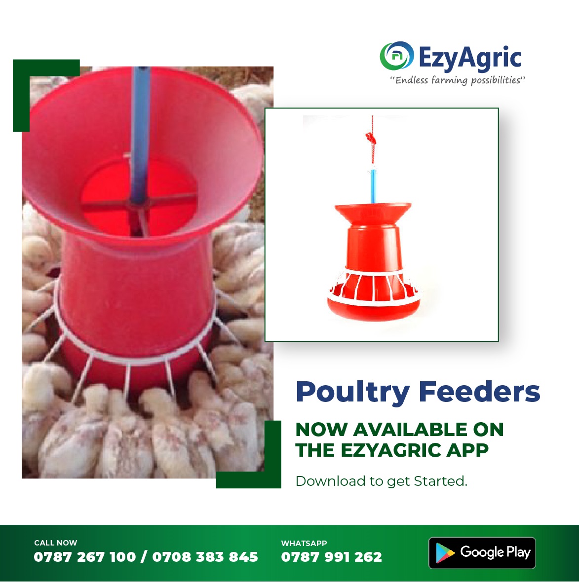 ezyagric's tweet photo. You need #Feeders that will avoid Wastage & Contamination of Feeds hence saving a farmer.ππΏ
Click ππΏ https://t.co/jsdtgMH1NI to buy them for your poultry today. ππΎ
#EndlessFarmingPossibilities #FarmTheEzyWay #PoultryTools https://t.co/V5pxK4ps78