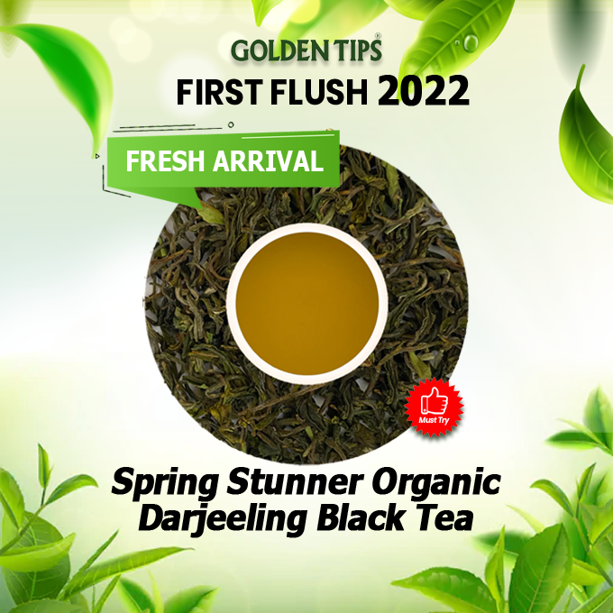 GoldenTipsTea's tweet photo. Taste the Best 👉 https://t.co/P2w8USvZHm
✅ The mildly fruity & vegetal flavor combined with hints of nuts, gives forth a wholesome and defining taste to relish this tea that comes from leaves that have flushed after the long winter hibernation of bushes
#Spring #FirstFlush2022 https://t.co/8Svekk9BRv