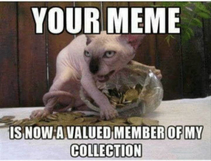 NekulturnyTrump's tweet photo. @Approximation_0 @IamButterflySue @begjani51 #ValuedMember https://t.co/XyU3Jn5T4X