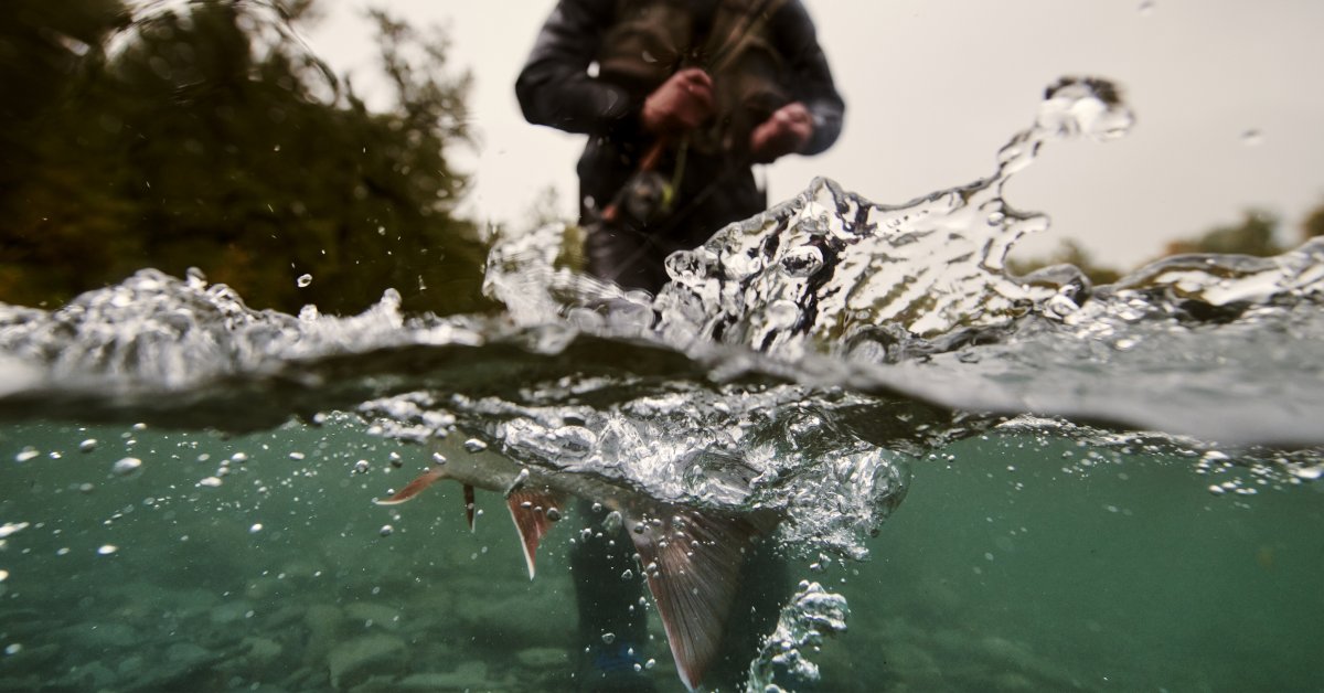 filson's tweet photo. Trusted by sportsmen for over a century. #Fishing #FilsonLife https://t.co/fTylVaZ1q6