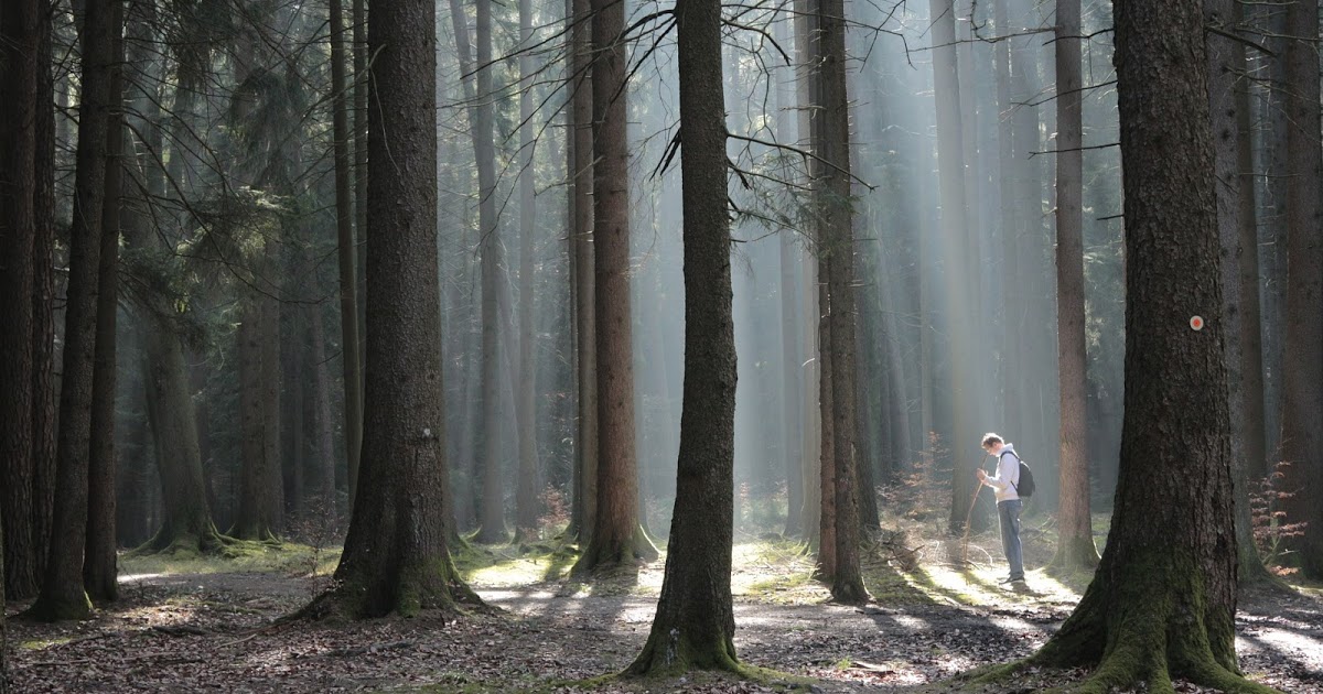 dayhikingtrails's tweet image. 6 Tips for Handling Hiking Emergencies 
#hiking #camping #backpacker dld.bz/hfu2U