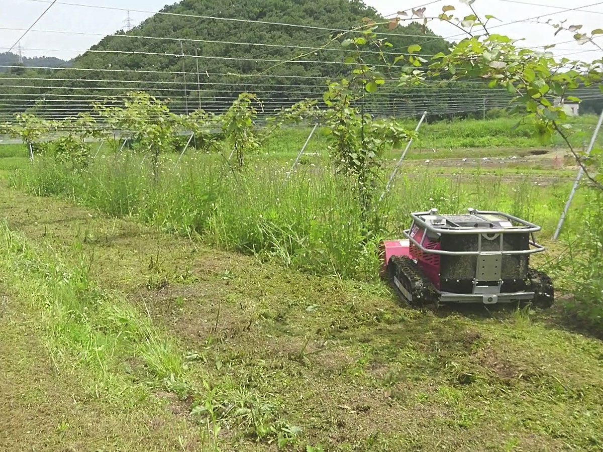 shingushokomach's tweet photo. TIMAN 草刈機 RC-1000
中腰でないと入って行きづらい場所でもラジコン草刈り機ならスイスイと入っていけるので作業が捗ります

#果樹園
#おすすめ
#ラジコン
#リモート
#ハンマーナイフ
#安全
#RCシリーズ
#草刈り
#林業
#農業
#作業
#効率化
#岐阜基 https://t.co/3Ab2AfFOw0