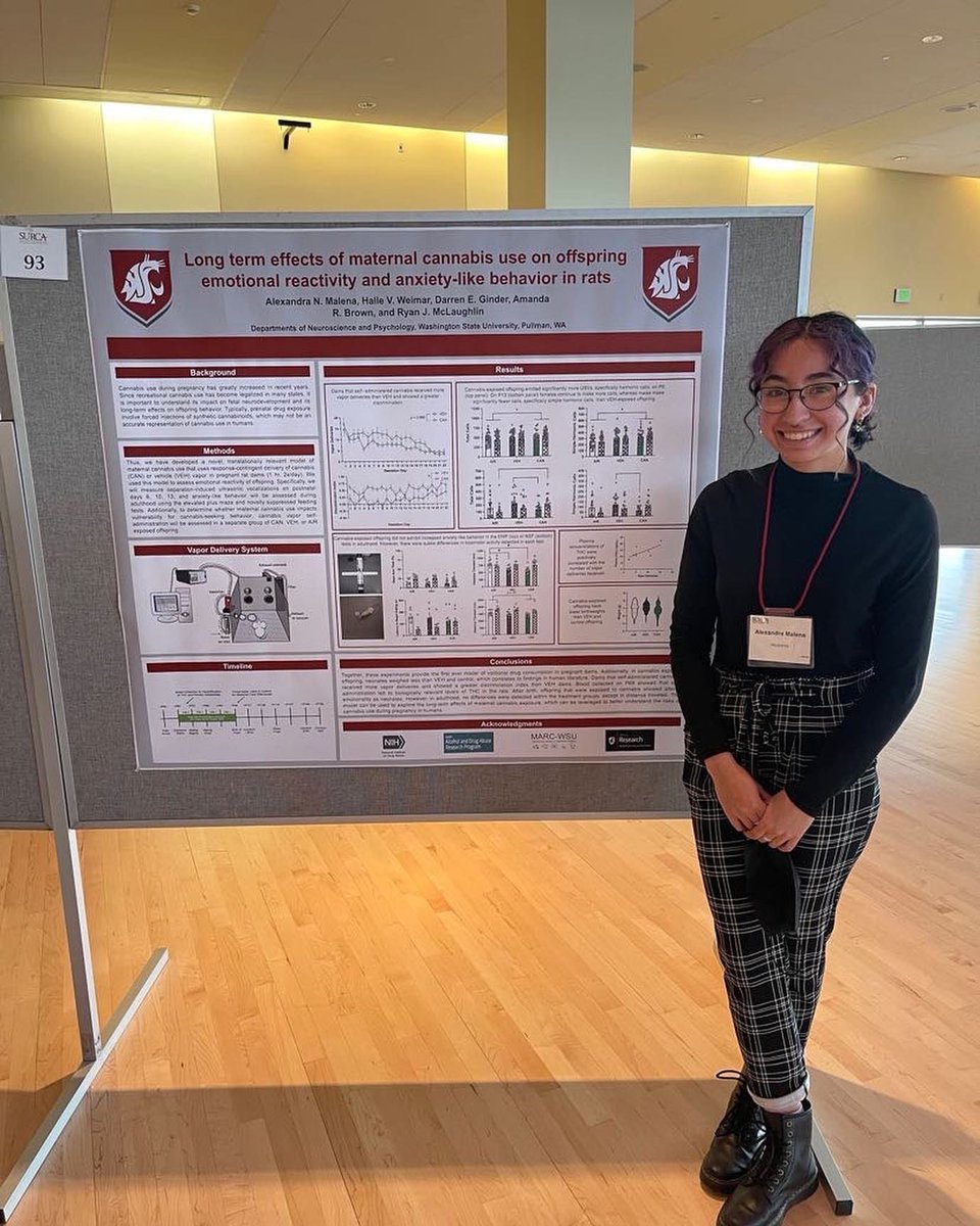 alexandra tweet media