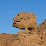 アルジェリアにある岩が？見た目が完全にハリネズミ!