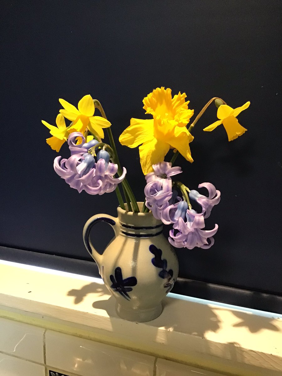 FredPattje's tweet photo. Some Ukraine colour from our Vancouver Island spring garden.
Slava Ukraini!
#VolodymyrZelenskyy #Ukraine https://t.co/9ccaqzK2qL