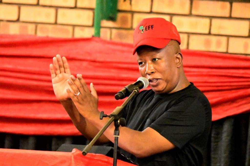 MafavukeMsomi's tweet photo. The one and only President in South Africa. Long Live our President, CIC @Julius_S_Malema https://t.co/mxVDNldCMk