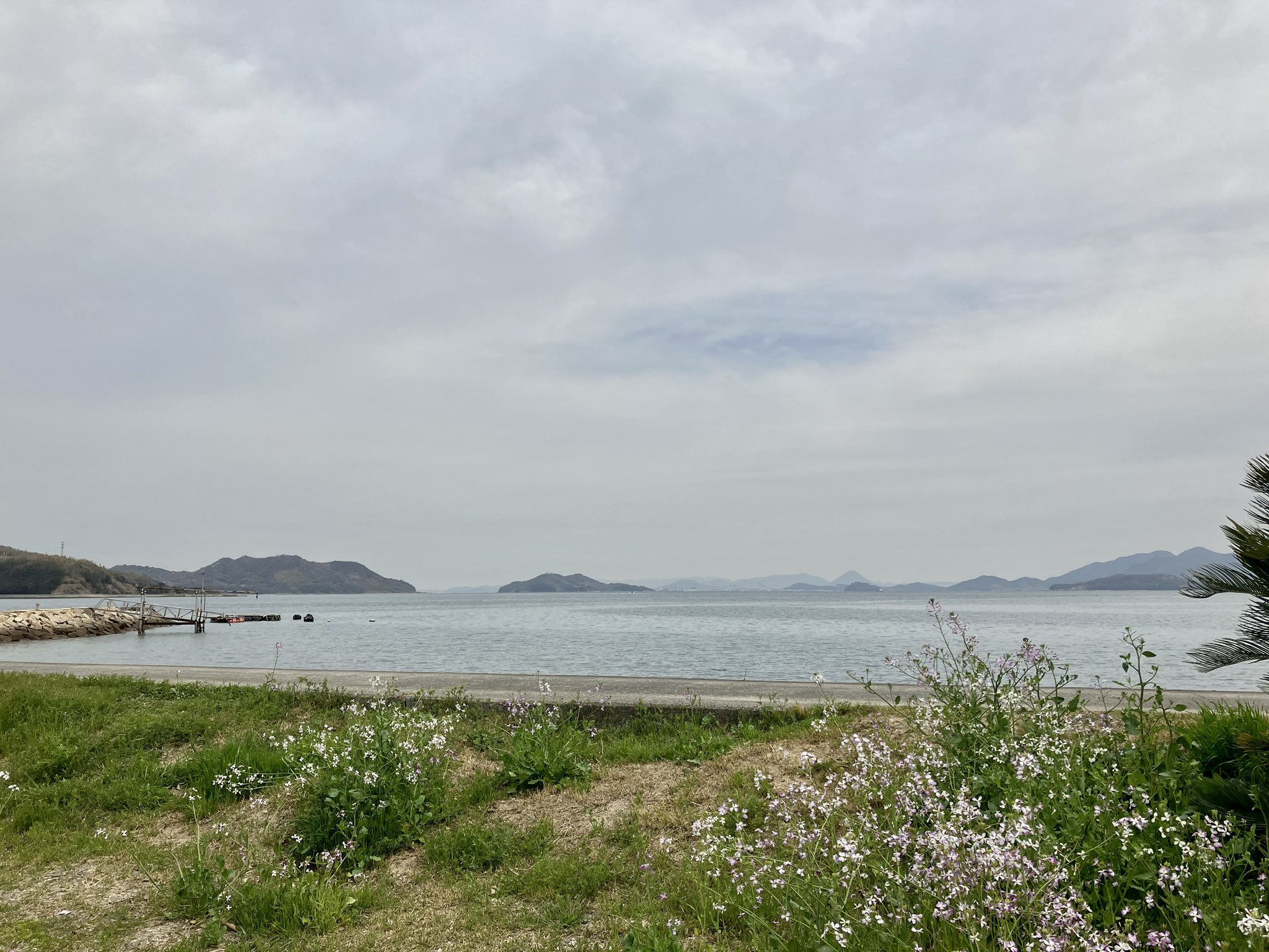 春の海ひねもすのたりのたりかな Twitter Search Twitter