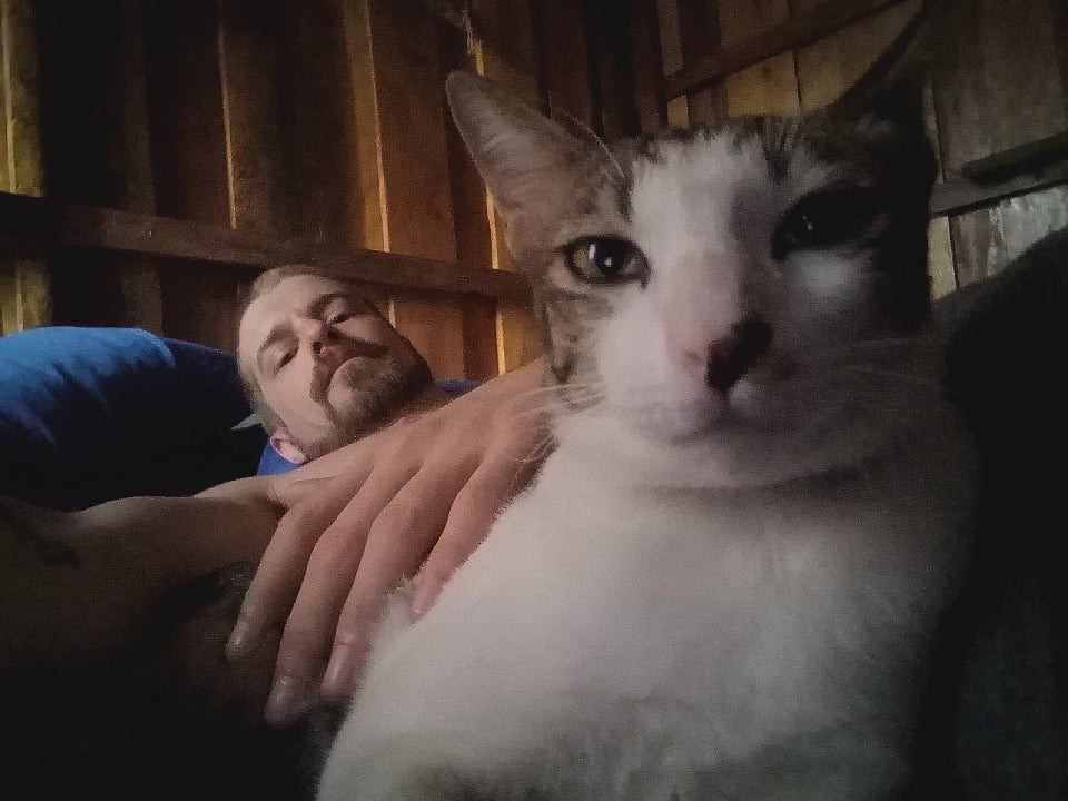 Christo19310232's tweet photo. This alarm clock woke me up with a headbutt for work this morning as he does most days, 7- 7:30am...
#Rizlathecat #WakeUpCall #backtowork #contentwriter https://t.co/d0yDckncV1