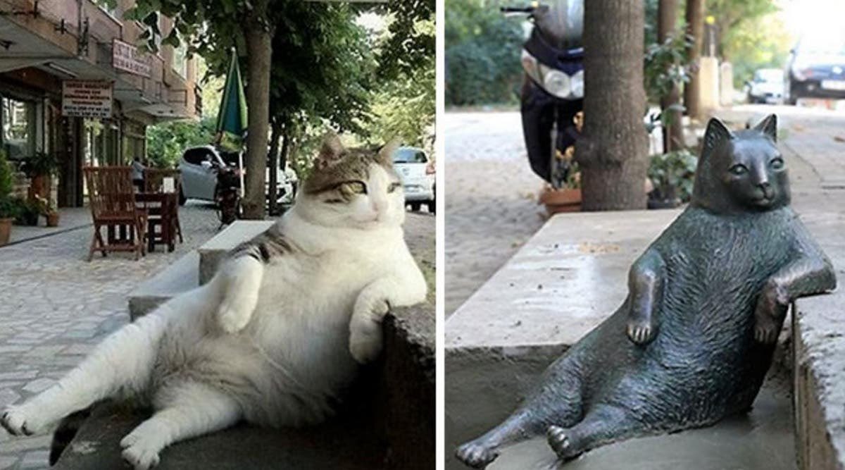 SinghLions's tweet photo. In Kadıköy, Istanbul, Turkey, the city authorities have made a memorial sculpture to honor ‘Tombili’, a rotund stray cat loved by all. The cat used to sit in this position and watch passers-by. #kedi https://t.co/Mnpu18FGK0