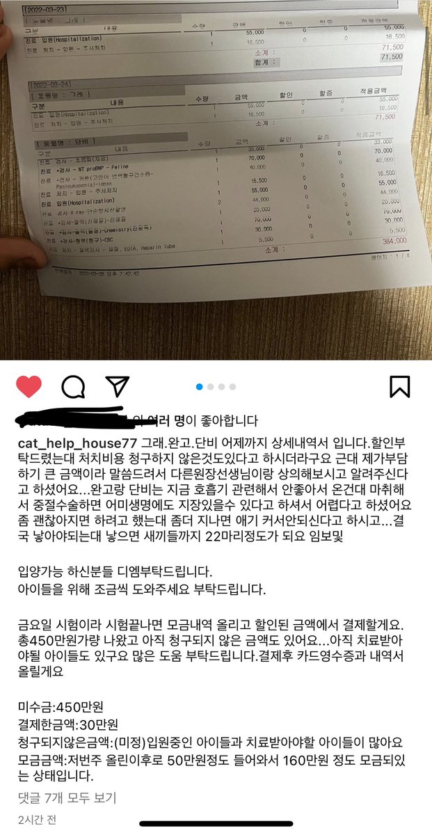 cat_help_house's tweet photo. 관심 가져주시고 Rt 해주신 모든 분들 감사합니다. 
임신한 고양이들 건강 문제로 결국 출산하는 쪽으로 정해진 것 같습니다… 현재 미수금만 해도 450만원인데 출산하면 고양이들이 약 22마리로 늘어나는거라 임보 및 입양/모금 등 도움이 시급한 상황입니다
모금계좌: 농협 356-1383-0625-33 ㅂㅅㅇ https://t.co/g3YWGegBsL