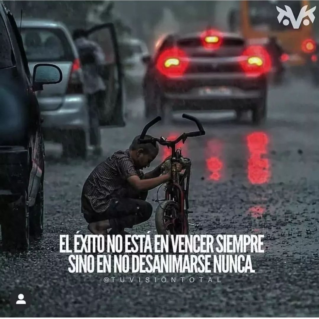 🐾🌹Ramón David🪐🚀🏀 tweet media