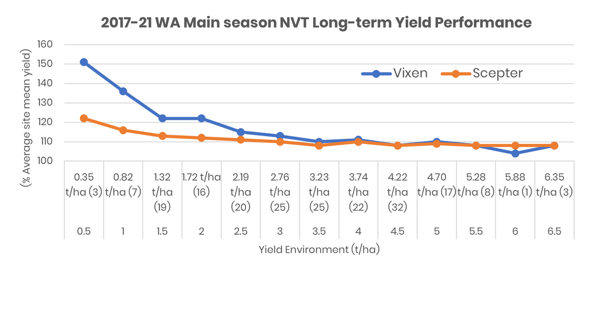 #Vixenwheat - a  formidable quick maturing character! Highest yielding variety in 2017-21 WA main season NVT MET. An excellent performer in tough seasons whilst very good in the better years! 🦊 For more: intergrain.com/variety/vixen/