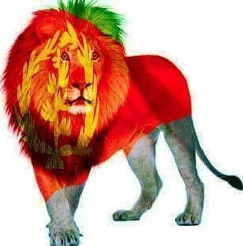 WMihretaeb's tweet photo. ኣብ'ዛ #ዓለም እዛ #ለጢፈያ ዘለኹ #ስእሊ #ንመን #ትግብኦ! ሓሙሽተ ፊደላት ምላእ
#ኣስተውዕል ¶ምቕዳሕን ምግምዳሕን ኣይፍቐድን እዩ

መልሲ፥  =====  ====  ==== ==== ===== 

ሽልማት ኣብ ቐጻሊ.....

#EritreaCheers2022
#EritreaPrevails https://t.co/7OGYqYBaAc