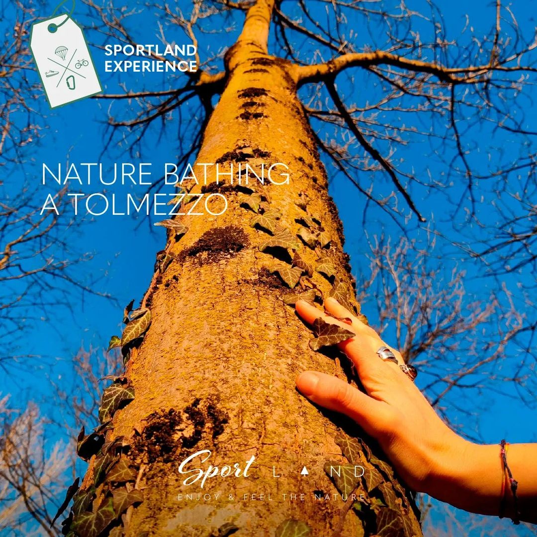 VisitFVG's tweet photo. Nuova settimana, nuovo appuntamento con le #Sportland Experiences! 🤩

🌳🍏 Nature Bathing tra i meleti antichi
📅 domenica 3/04
🕘 partenza ore 9:00
📍 Tolmezzo, Udine
ℹ️  e PRENOTAZIONI: info@italytripidea.com

#FVGlive #iosonofvg #Sportland https://t.co/bdIiOeEJSM