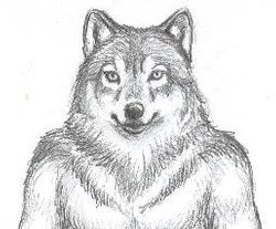 Excited to share the latest addition to my #etsy shop: 10 "MIDI Bits" in .MP3 format, composed by Jared Falvo (aka "Luposian") etsy.me/3tMIncd #experimental #digital #luposianaudio