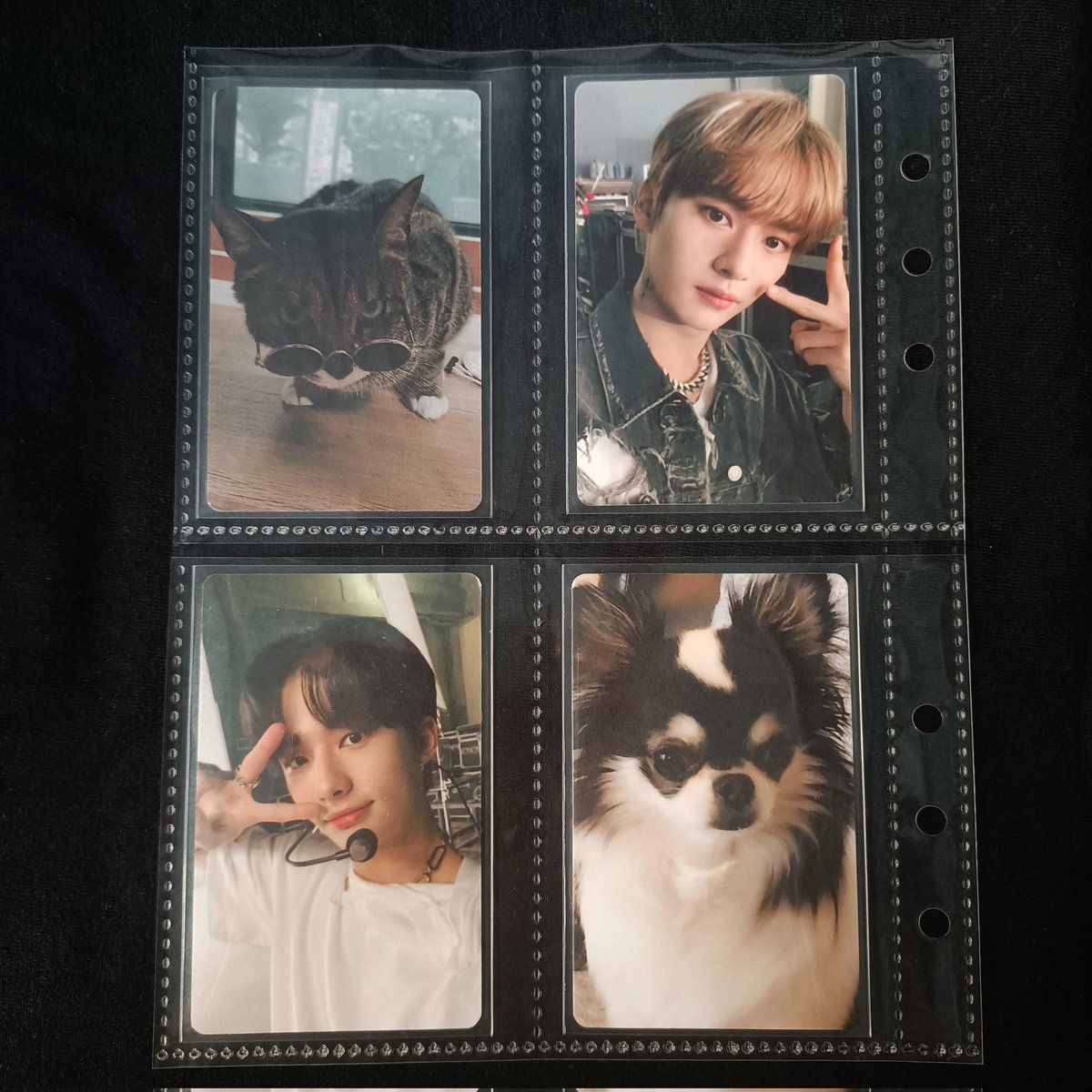 kyxcart's tweet photo. ◟ 💌 from @hyunjcart
sorry for the late feedback aaaaaa nasa drafts ko pala hsbdkshdidbeihdiehdishdihsidbsufhishdisbdkdhd pero kinikilig pa rin ako, ang cute nila ><
thank youuuuu!! super worth it bumili ng fanmade pcs mo! sa uulitin ^-^
◟ #tenkshyunj
◟ #kyxmails 🍀 https://t.co/uwQSZ654IF