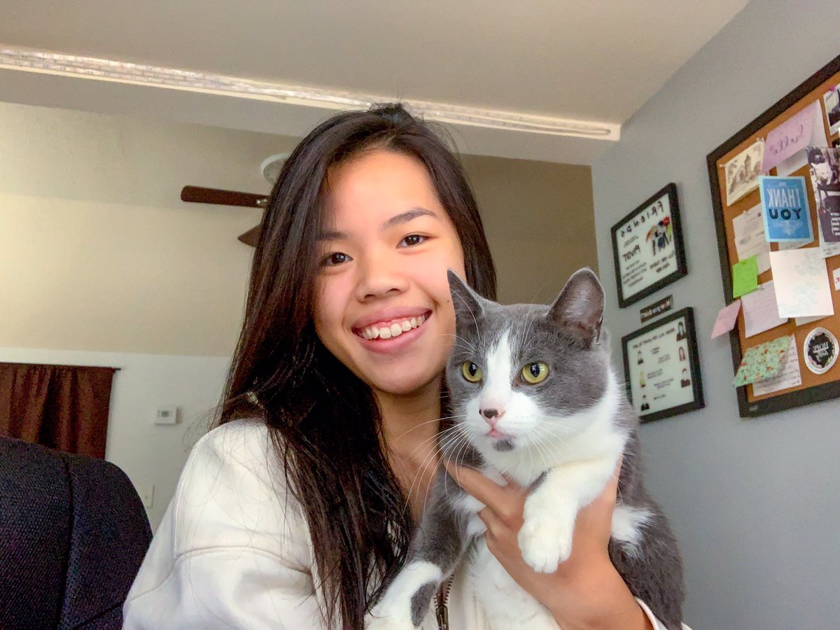 Seeing how many puppurr friends I can get by the morning! Doing a quick like and follow spree!
thepuppurr.com

#dogsoftwitter #CatsOfTwitter #petsoftwitter #dogcommunity #catcommunity #pets #animals #friends #catcuddles #cute #Caturday #cats #dogs #Like #follow #support
