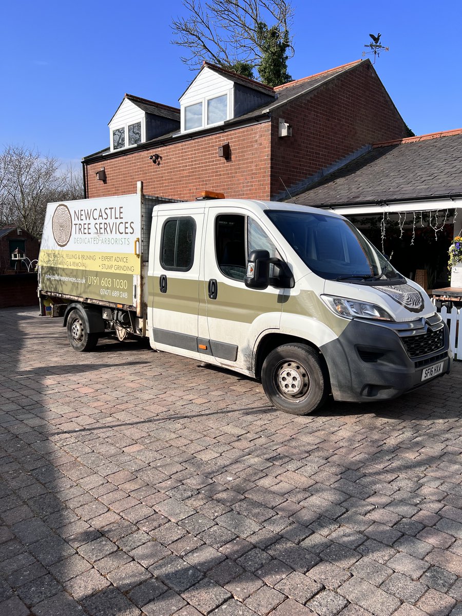Ncl Tree Services tweet media