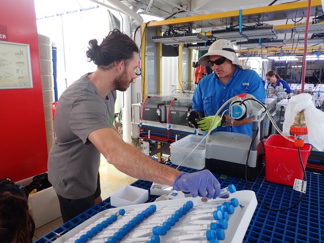 Forget about the Berlin Wall, the Wailing Wall, Walls of Jerusalem... – introducing the wall of Falcon tubes. Keeping samples neat and tidy as @SamanthaGoyen and @MichaelWooster9 sample for the #globalsearch project. (My most significant contribution to this field trip so far😉)