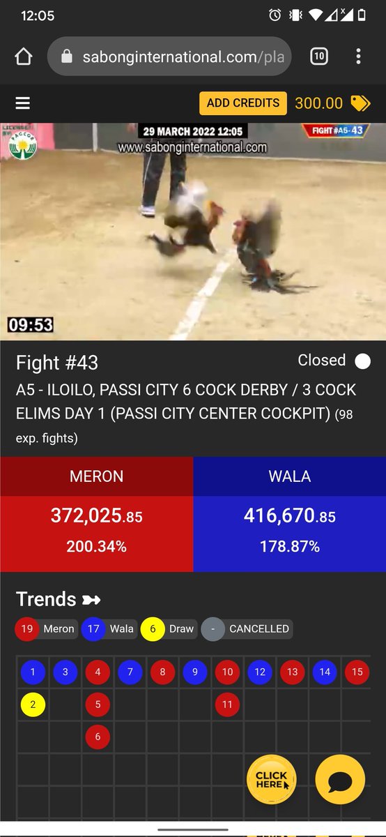 meerkatintern's tweet photo. Cockfighting or Online Sabong. 🇵🇭 https://t.co/ZdgPuHS1Kd