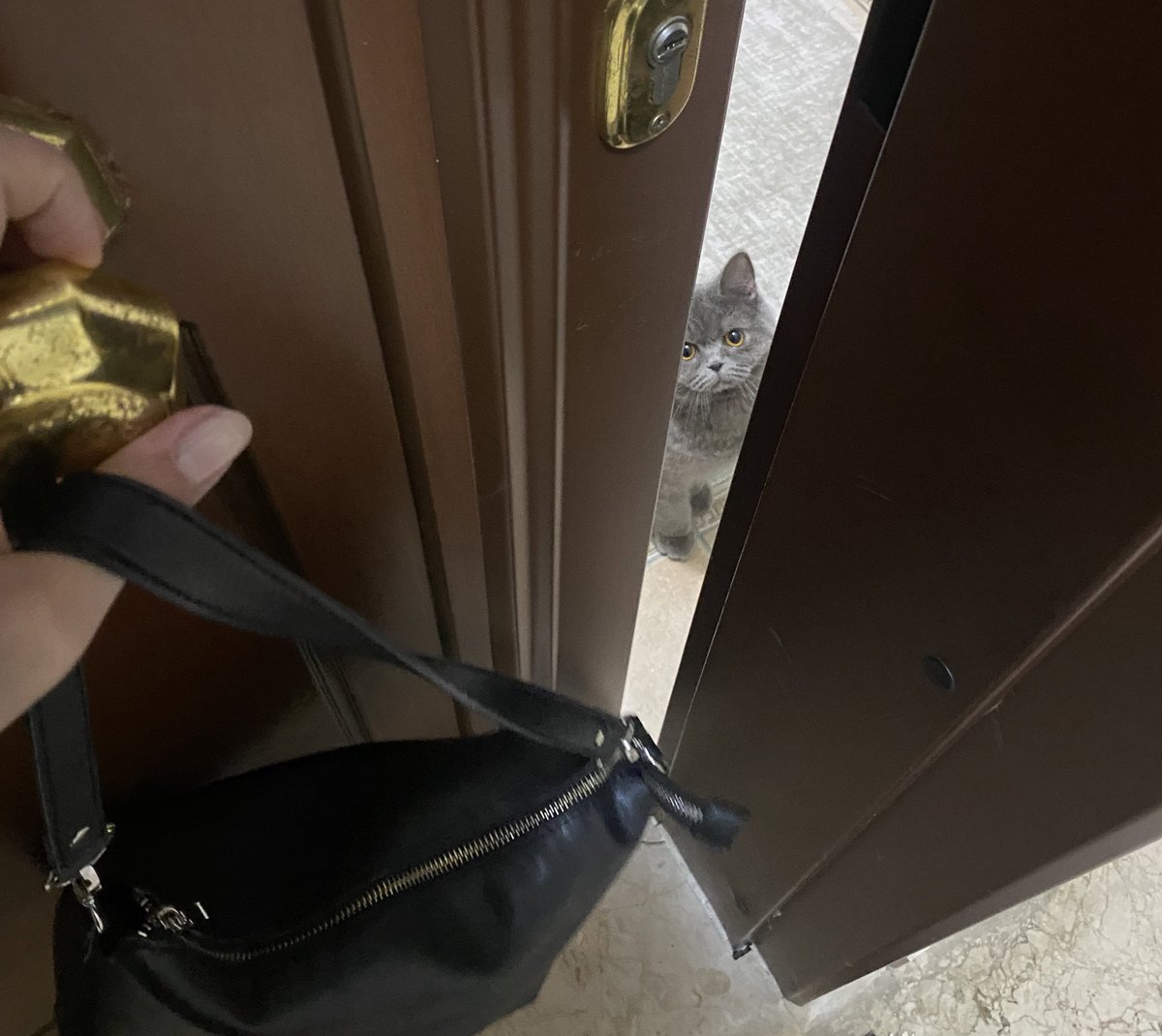 Her yere geç kalış nedenim