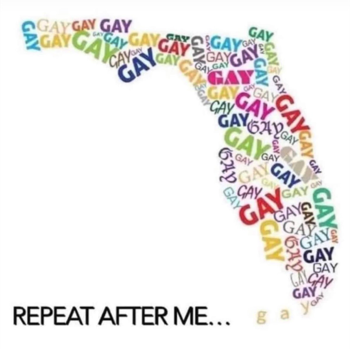 NancyAHoch's tweet photo. Hey Florida not saying it isn't going to stop your kids from being it. Your hate is repugnant. When they needed love you've shunned them. Shame on all of you 
#NotAfraidToSayGay https://t.co/dnDP5ZM6ZL