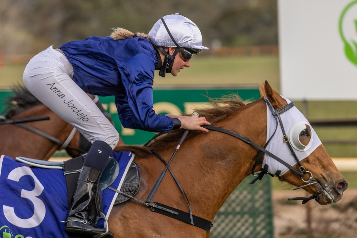 Racing SA (@racingsa) on Twitter photo We head to <a href="/OakbankRaces/">Oakbank Racing Club</a> tomorrow, and <a href="/LincolnMoore17/">Lincoln Moore</a> has selections for each and every race ๐๐ค
FULL PREVIEW | bit.ly/3uub1ha We head to <a href="/OakbankRaces/">Oakbank Racing Club</a> tomorrow, and <a href="/LincolnMoore17/">Lincoln Moore</a> has selections for each and every race ๐๐ค
FULL PREVIEW | bit.ly/3uub1ha