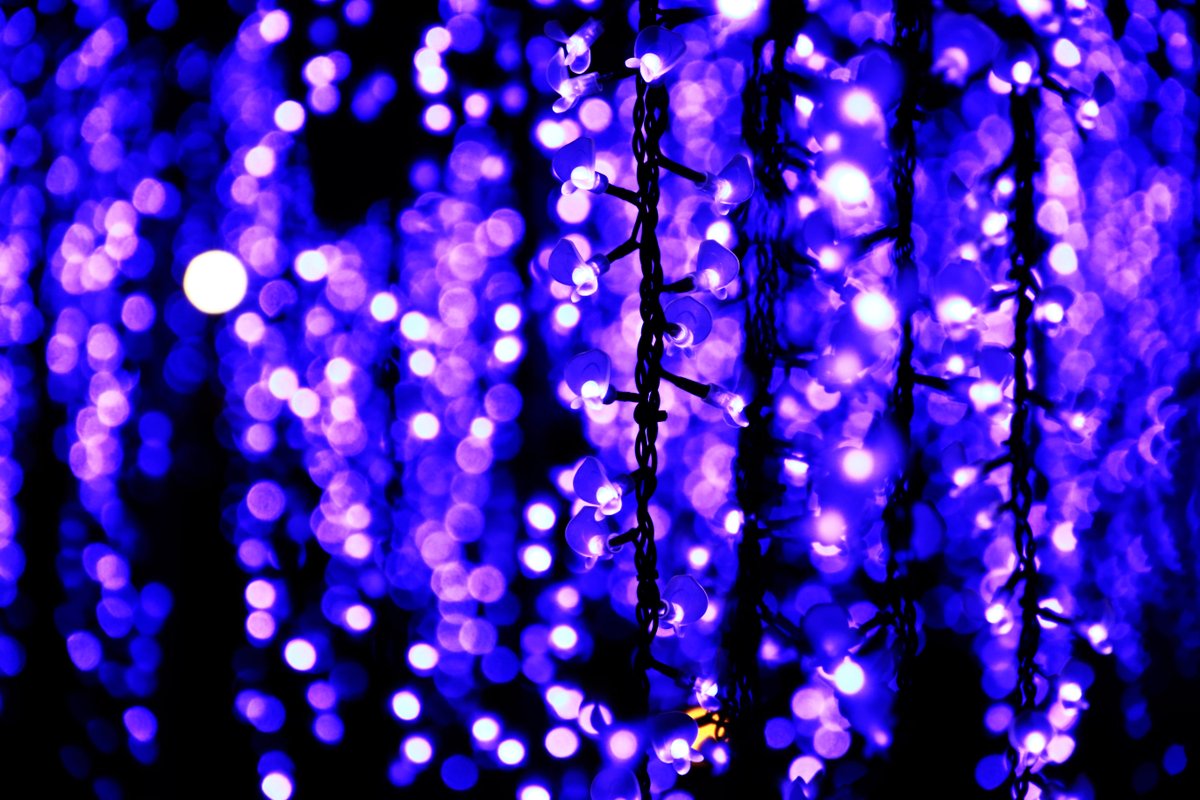 SamuraiMovieCr1's tweet photo. Artificial Wisteria at Ashikaga Flower park.
#illumination #lightups #ashikaga #whisteria https://t.co/csjgOso69V