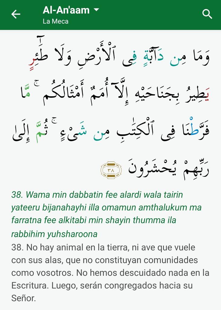 SiiKaddouri's tweet image. Cuenta regresiva para Ramadán: 

                      4   D  Í  A  S

       Allahuma Balighna Ramadán 

         🌕🌖🌗🌘🌑🌒🌓🌔