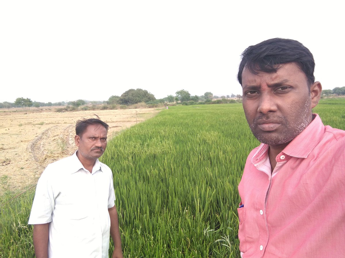 AODhanwada's tweet photo. పంటల నమోదు క్షేత్రస్థాయి పరిశీలన ధన్వాడ మండలం.@harichandanaias @MJSudhakar8 @SRReddyTRS @SingireddyTRS https://t.co/94e4xAH1ey