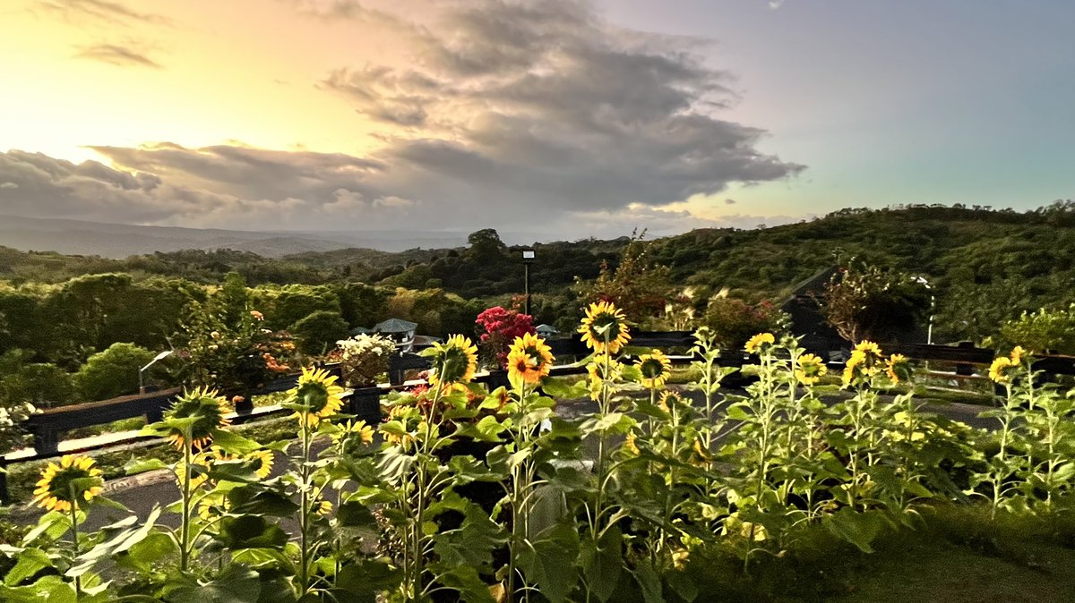 beezzz_c's tweet photo. Our Lady Regina Rosarii On Top Of The Hill is waiting for you….. 🙏❤���🙏 https://t.co/bjW1kefA6W