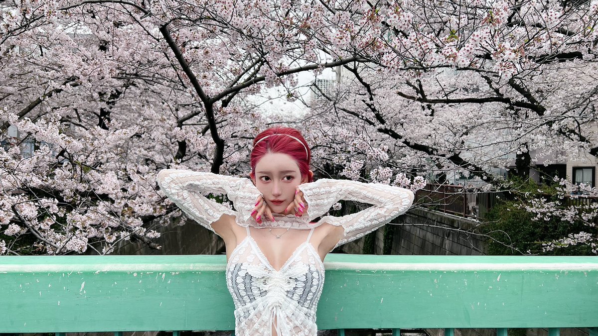 桜
