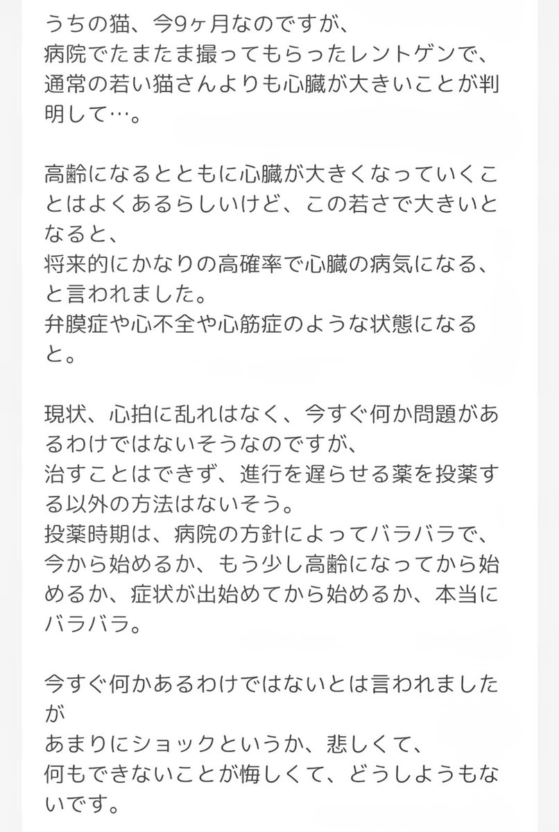 oiiniiniio's tweet photo. 誰か、
もし同じような状態の猫さんと暮らしたことがある方、今暮らしてる方、
教えて頂けませんか…。
長文になったのでテキストのスクショ貼ります。
#猫 #ねこ
#猫好きさんと繫がりたい 
#猫のいる暮らし 
#猫の病気 https://t.co/nkd8v5Xnv7