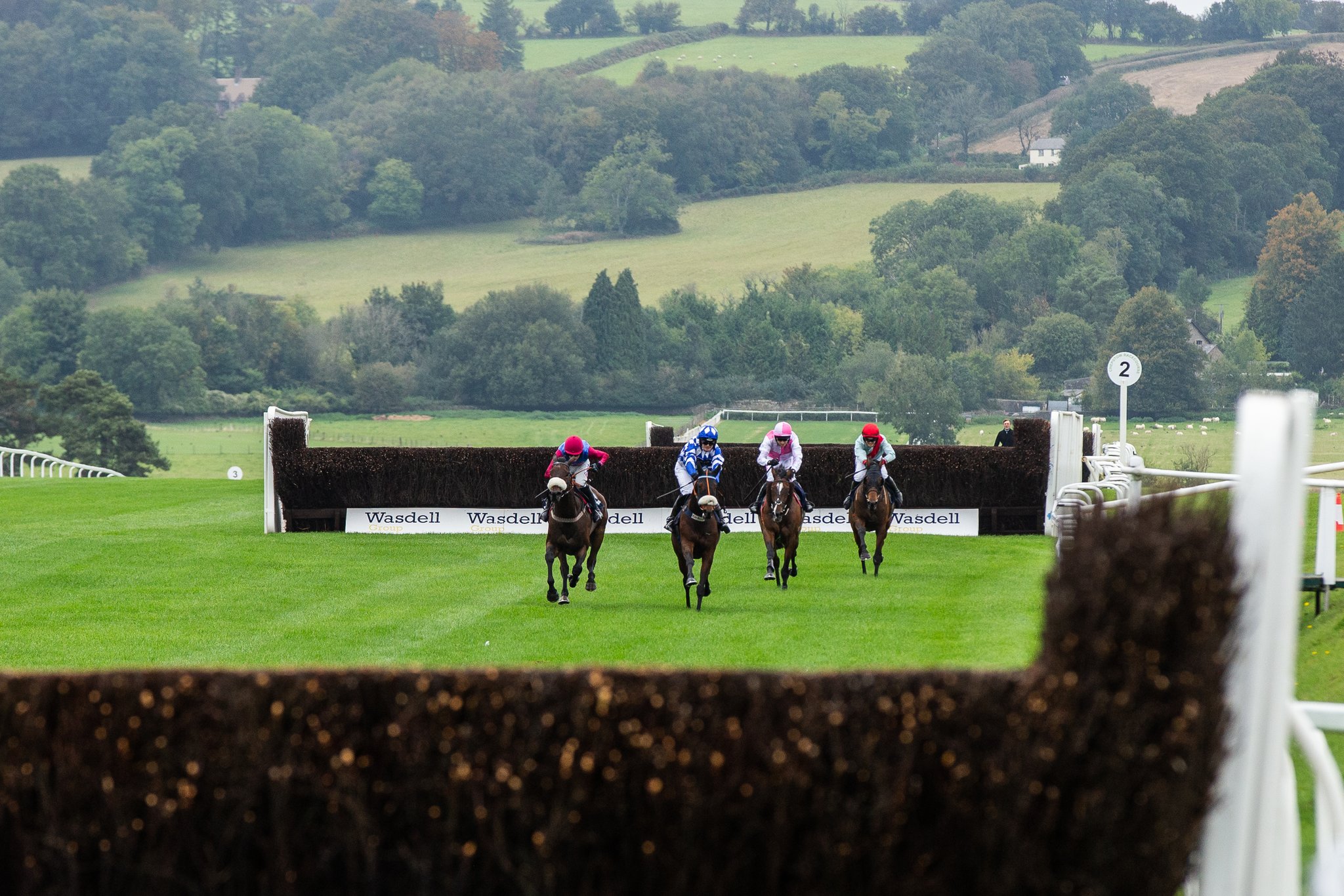 Chepstow Racecourse on Twitter "We have 165 entries for our seven race