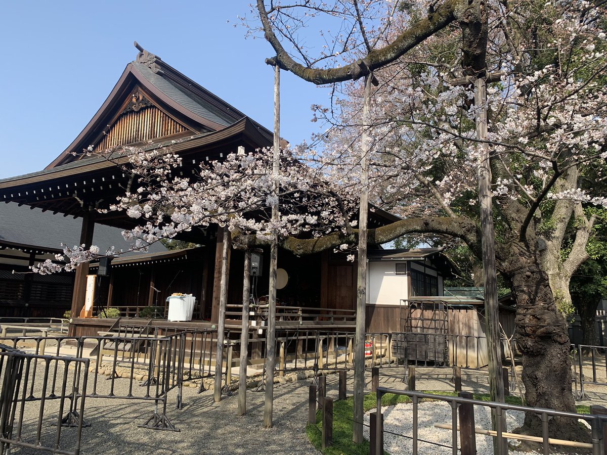 act3_official's tweet photo. 桜の季節🌸

お花見して参りました🙏

#靖国神社 
#桜
#標準木
#害獣駆除
#actthree https://t.co/Y3FkR4glmR