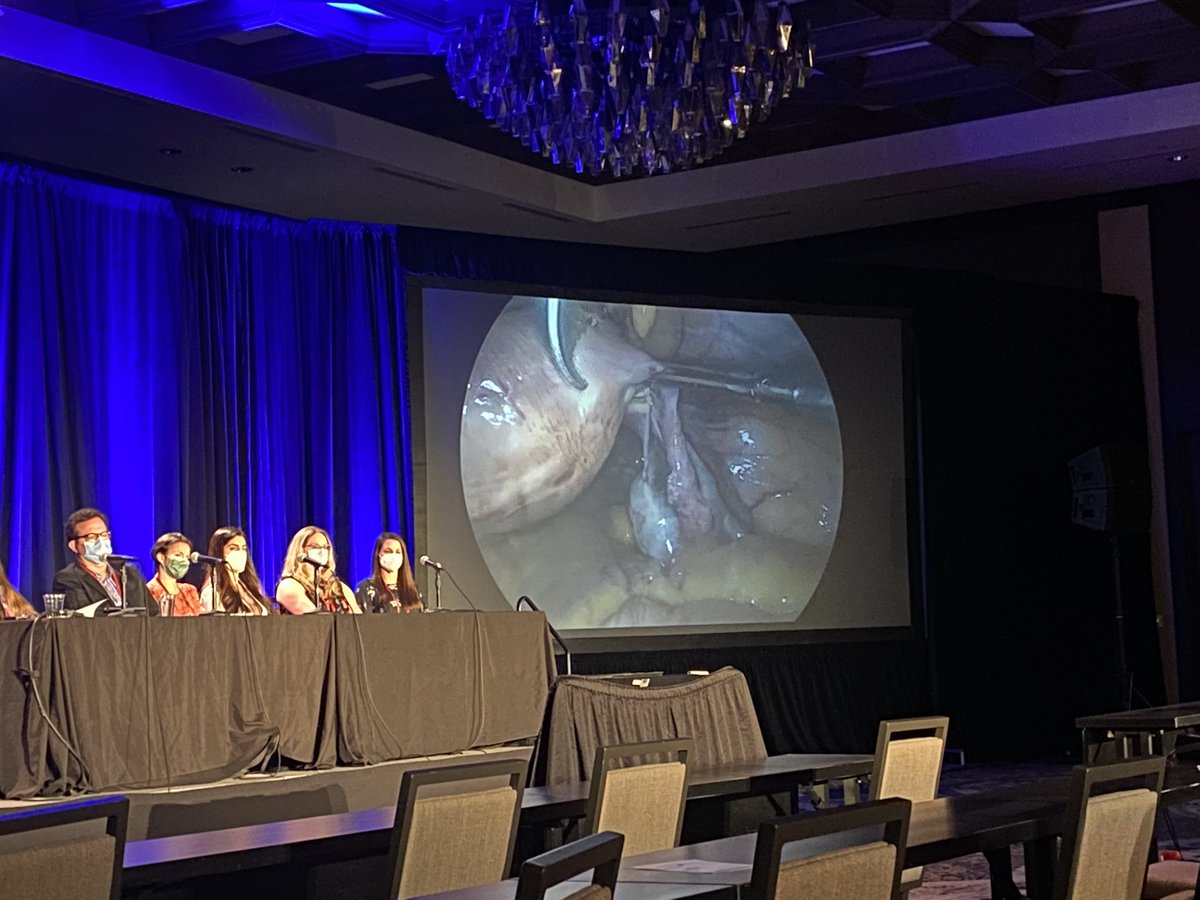 Cara R. King, DO, MS, FACOG, FACS (@drcaraking) on Twitter photo These #MIGS ladies made me SO PROUD at the <a href="/GynSurgery/">Society of Gynecologic Surgeons</a> podium today!!🔥 I’m honored to collaborate with their brilliants minds! <a href="/morlando_obgyn/">Megan Orlando, MD</a> <a href="/ACareyLoveMD/">Angelina Carey-Love</a> <a href="/FMIGS1/">FMIGS</a> #juvenilecysticadenoma #essureremoval #SurgEd These #MIGS ladies made me SO PROUD at the <a href="/GynSurgery/">Society of Gynecologic Surgeons</a> podium today!!🔥 I’m honored to collaborate with their brilliants minds! <a href="/morlando_obgyn/">Megan Orlando, MD</a> <a href="/ACareyLoveMD/">Angelina Carey-Love</a> <a href="/FMIGS1/">FMIGS</a> #juvenilecysticadenoma #essureremoval #SurgEd