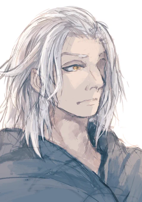 旧エメ、描いてる最中にうっかりするとゼノスになる説ない……? 