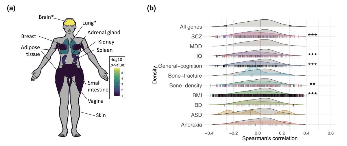 dsquintana's tweet photo. Very happy to share that our new paper led by @jarekrokicki on oxytocin receptor expression patterns in the human brain across development has been published in @npp_journal https://t.co/0QQcEihbPp

View-only version: https://t.co/lrHTGFCflm

Here’s a thread on what we found… 🧵 https://t.co/bz4iCAqvf6